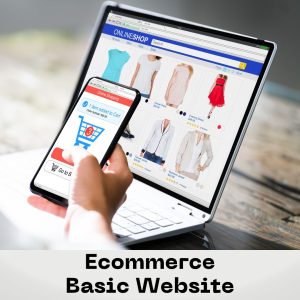Ecommerce Basic Website Plan
